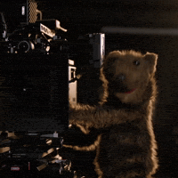 Mtg GIF by Magic: The Gathering