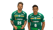 Bundesliga Handball Sticker by SCDHFK
