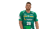 Handball Leipzig Sticker by SCDHFK