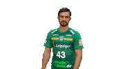 Handball Leipzig Sticker by SCDHFK