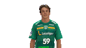 Handball Leipzig Sticker by SCDHFK