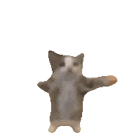 Happy Cat Sticker