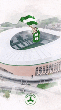 Futbol Spor GIF