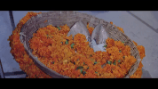 joote de do paise le lo GIF by Priya