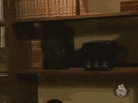 michael ian black dancing GIF