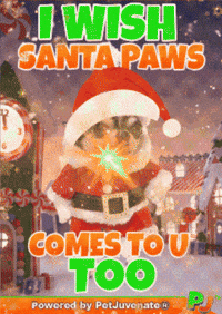 PetJuvenate  GIF