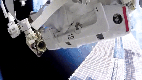 tulsimo giphygifmaker GIF