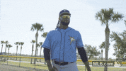 Tampa Bay Rays Sport GIF by MLB