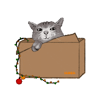 Cat Christmas Sticker by IAMS Deutschland