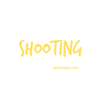 Foto Shooting Sticker by Pineapple MKT