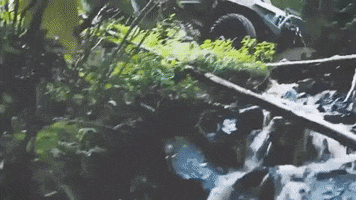 virginia GIF
