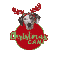 Christmas Dogs Sticker by Apawture Studios Pet Photography