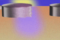 desert plants GIF by franzimpler
