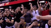 sport fans GIF by Essendon FC