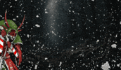Navidad GIF