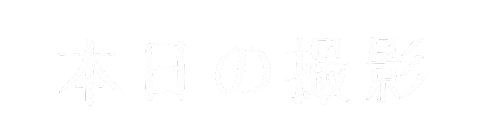 カメラ 写真 Sticker