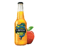 Apple Snake Sticker by Tous Mordus