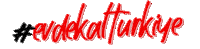 Evdekal Sticker by Güllüoğlu