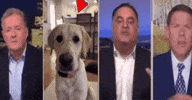 Who Is He Red Arrow GIF