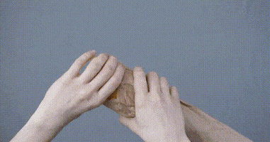 GIF by Bread & Butter Club