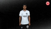 Football Swipe Up GIF by Eintracht Frankfurt