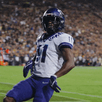 Horned Frogs GIF by TCU Football