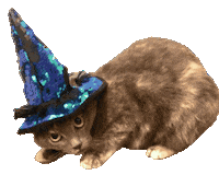 Wicked Witch Cat Sticker by Smitten Kitten