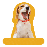 Happy Dog Sticker by Awesome Pawsome Treats