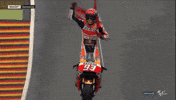 Marc Marquez Celebration GIF by MotoGP™