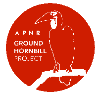 Southern Ground Hornbill Bird Sticker by Mabula Ground Hornbill Project