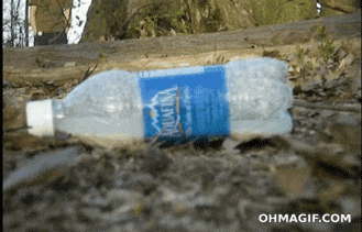 alcohol bottle GIF