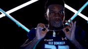 Old Dominion Sport GIF by ODU Football