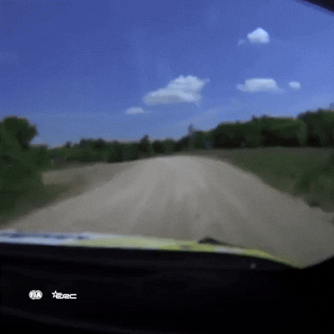 Crash Roll GIF by FIA European Rally Championship