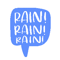 Winter Rain Sticker