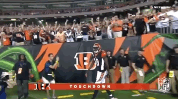 2018 Nfl Football GIF by NFL