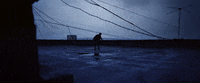 Rain Training GIF