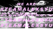 alexsyu alexsyu teamalexsyu GIF