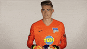 Hertha Berlin Football GIF by Hertha BSC