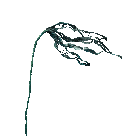 Stop Motion Animation Sticker by Mighty Oak