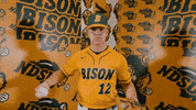 Baseball Bison GIF by NDSU Athletics