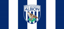 premier league football GIF by West Bromwich Albion