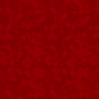 Sassy Boxing Day GIF by Bristol City FC