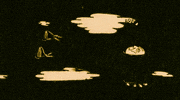 Water Swimming GIF by The Backseat Lovers