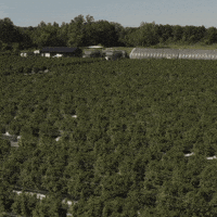 Plant Grow GIF by Exclusive Brands