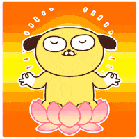Fun Meditation GIF by Zookiz