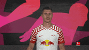 Rb Leipzig Football GIF by Bundesliga