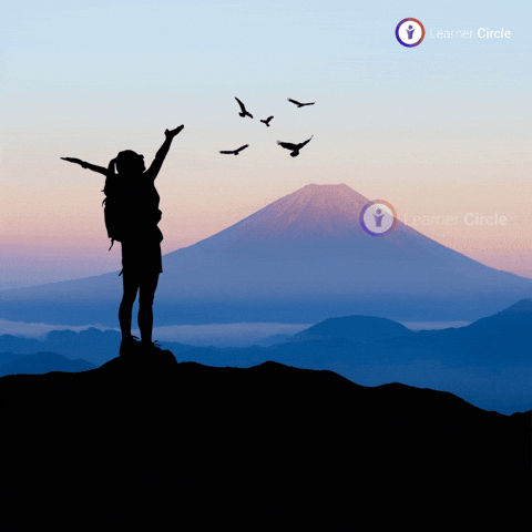 GIF by Learner Circle