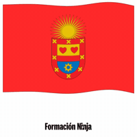 Flag Spain GIF by Formación Ninja