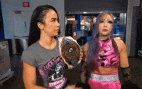 Aj Lee Wwe GIF