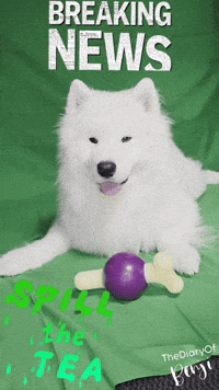 News Listen GIF